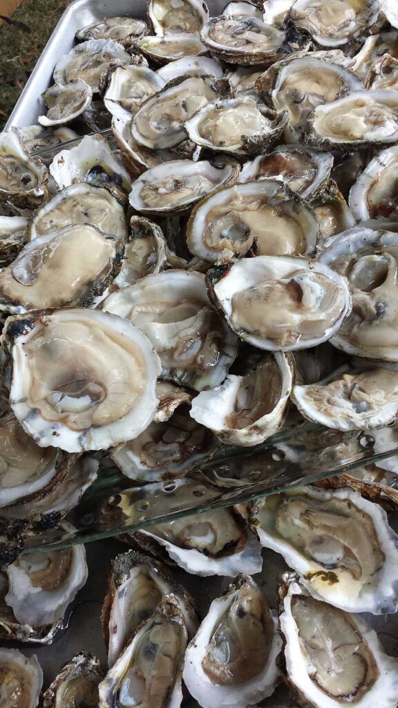 Oyster Roast Caterers Charleston Reeds Catering